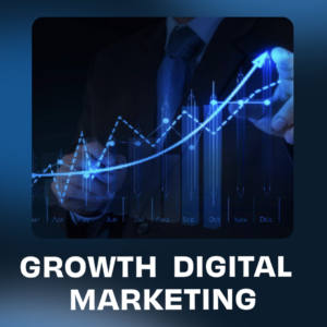 Programa growth digital marketing